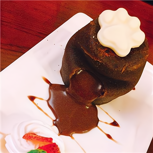 小世界貓主題西餐廳 當(dāng)精致餐飲遇見溫暖陪伴